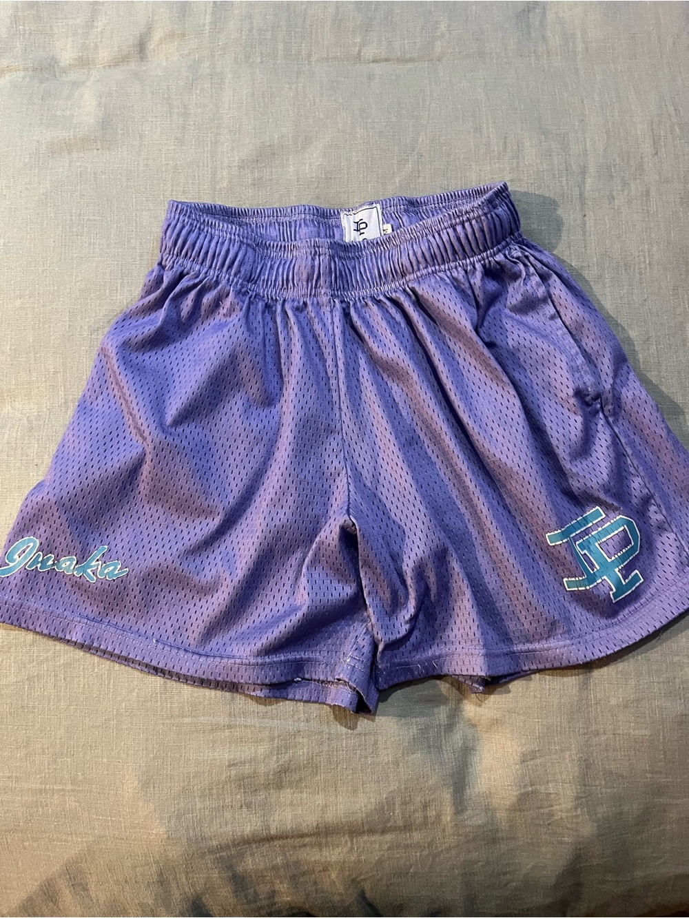 Inaka Power Purple Mesh Athletic Shorts with Teal Accent